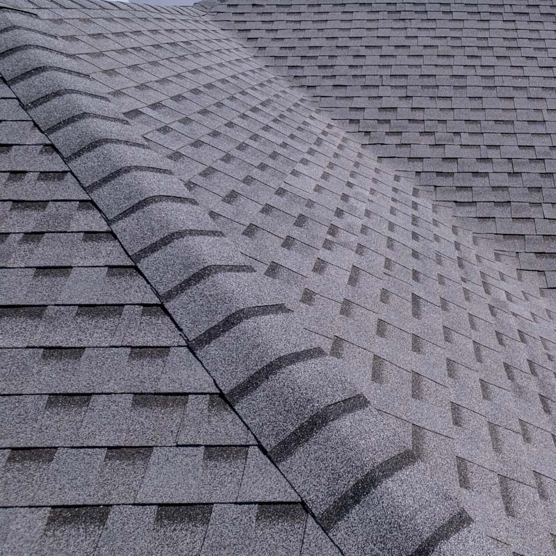 roof cleaning